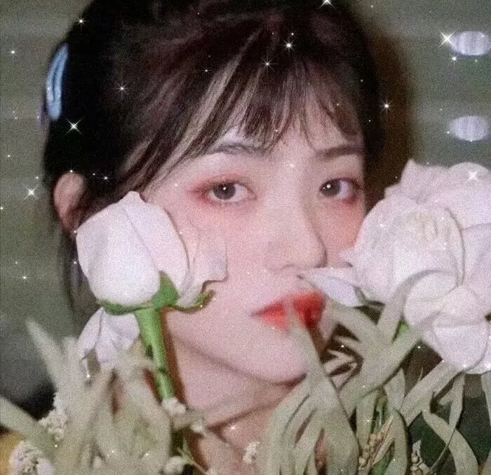 再会吧!青春小鸟