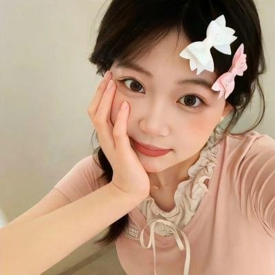 公主请回家