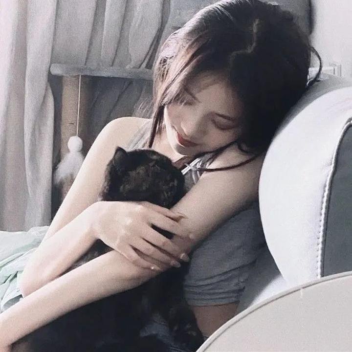 桃太郎的海鹰